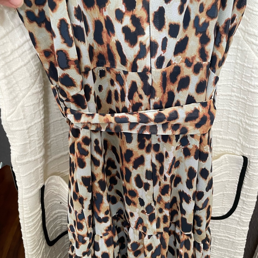 Leopard Print Maxi Dress